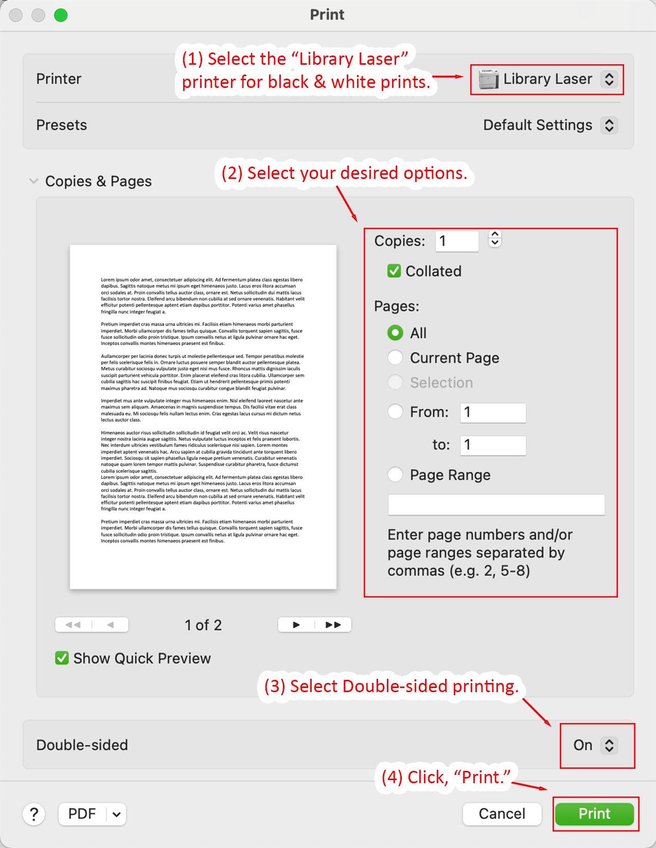 Print dialog with Library Laser selected for black-and-white printing  