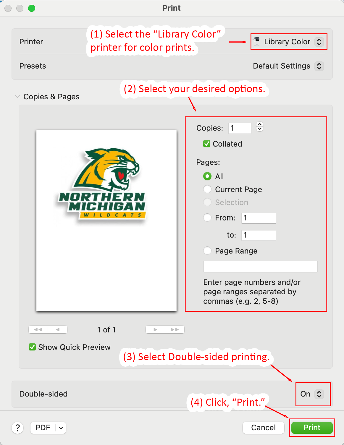 Print dialog with Library Color selected for color printing  