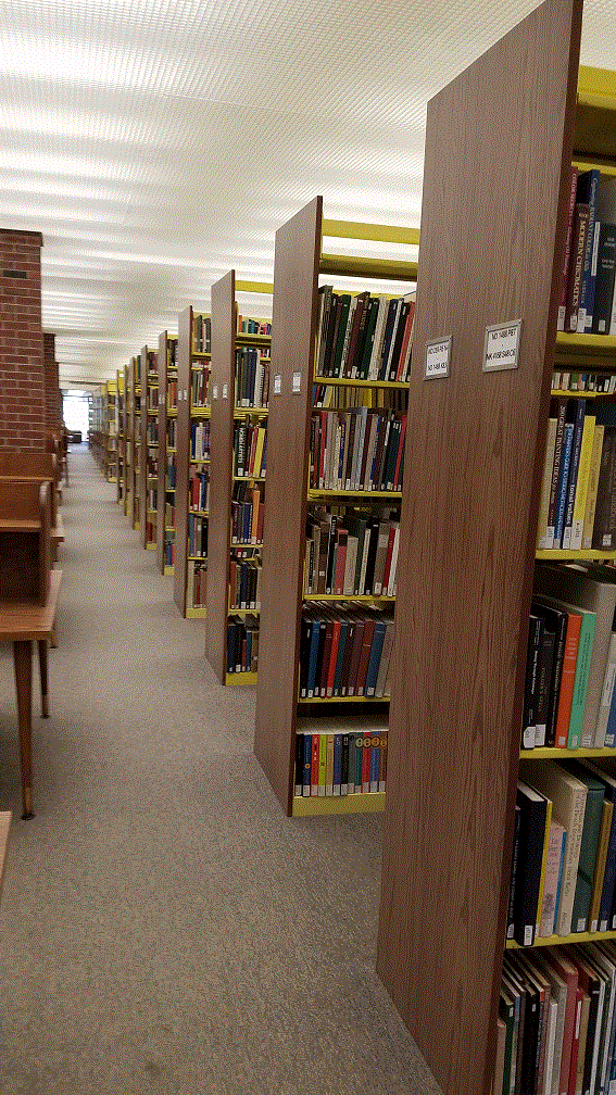Photo of rows of book shelves
