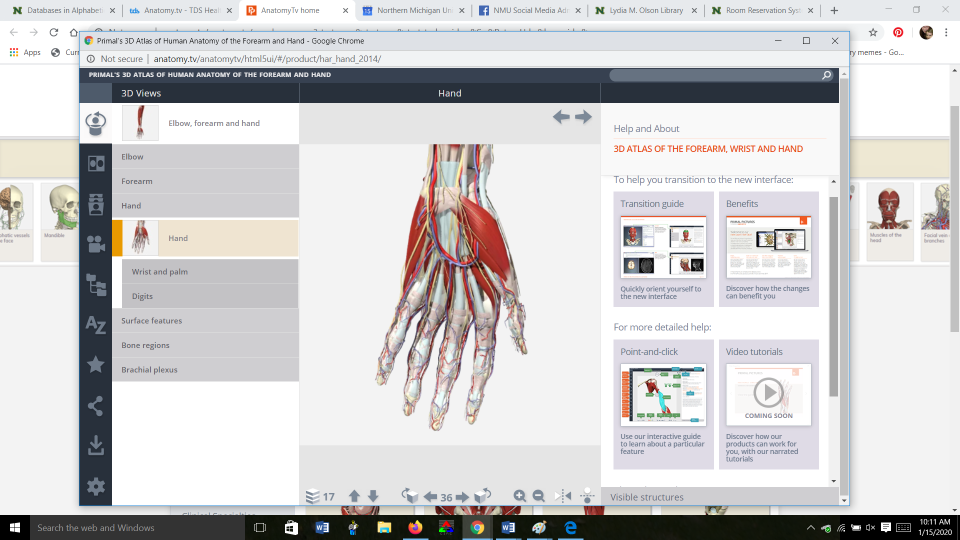 Web page on Anatomy.TV; image of the structures of the human hand