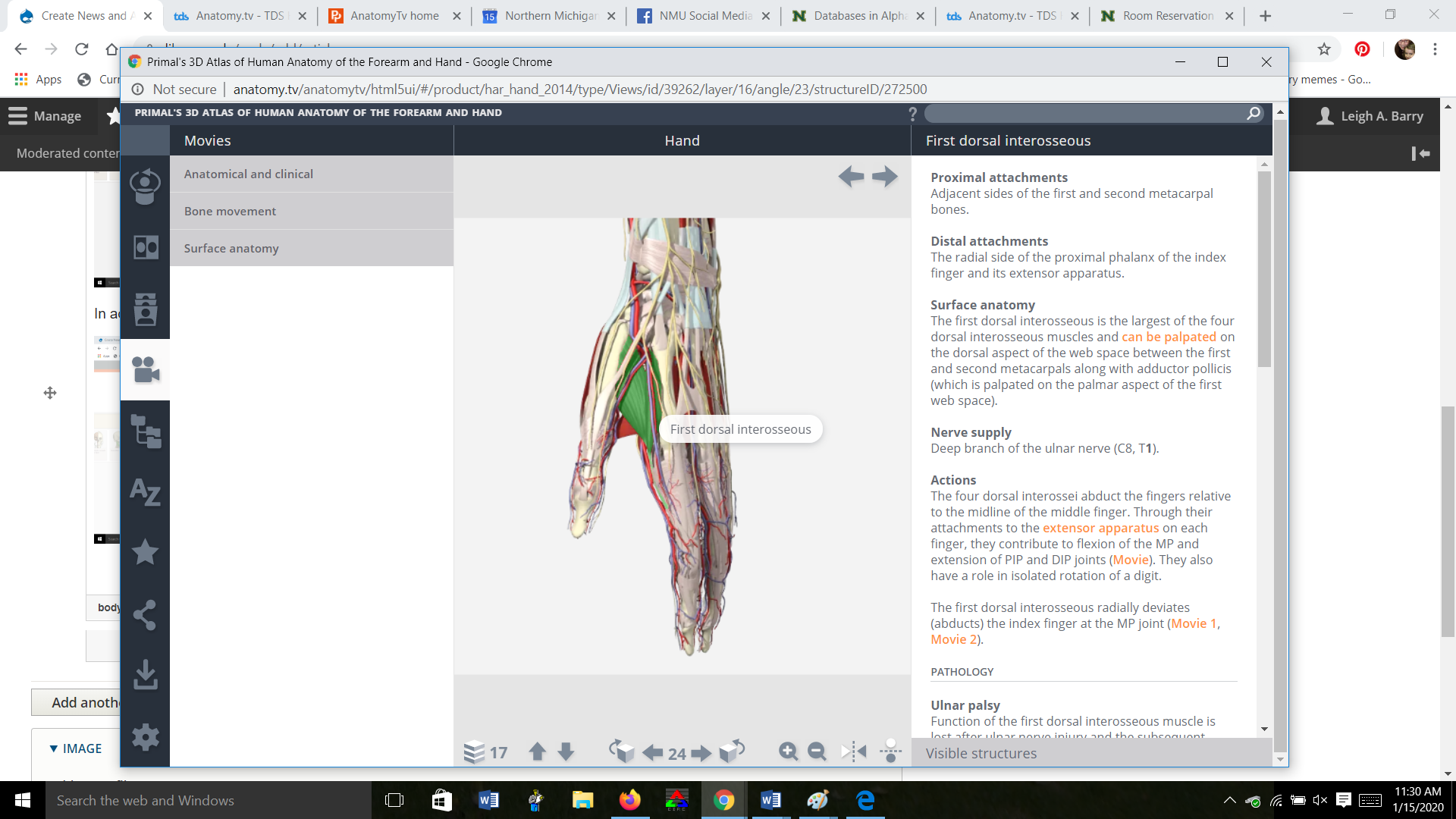 Image detail of Anatomy.TV webpage featuring a human hand