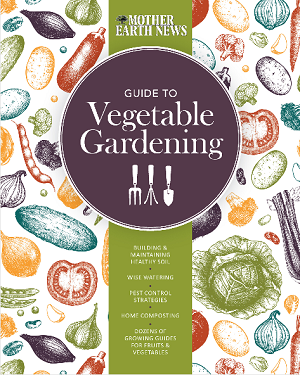 Mother_Guide to Vegetable Gardening