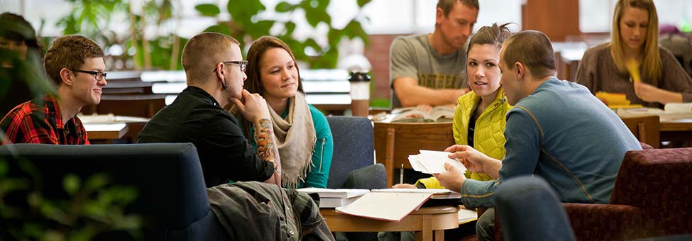 Students Studying