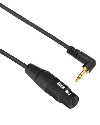 Lavalier microphone adapter cable for video recorder