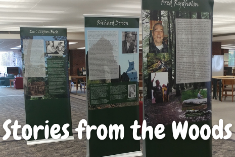 Stories from the Woods, photograph of display